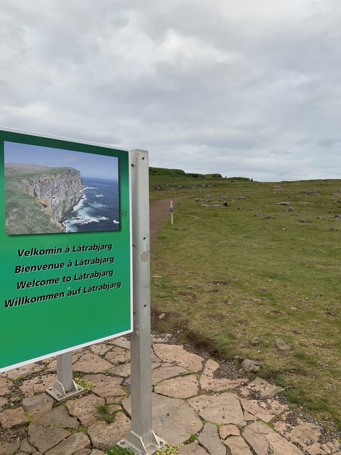 Islandia completa en 17 días con Landmannalaugar y fiordos Este y Oeste - Blogs de Islandia - DIA 11 JULIO/22 DESTINO LATRABJARG A VER FRAILECILLOS (10)