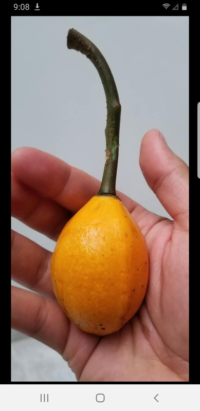 Screenshot_20250316-090837_Facebook