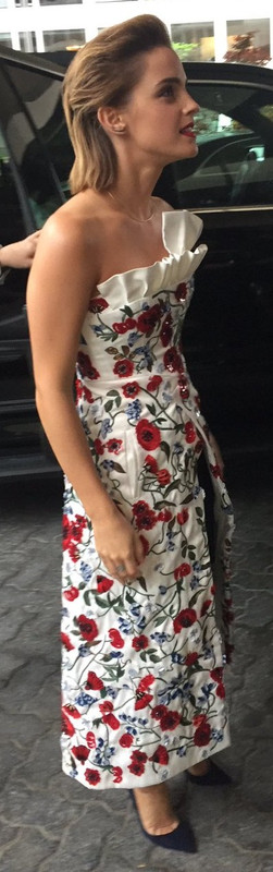 emmawatson-updates.com (6)