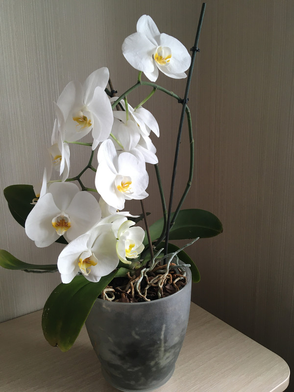 7CC75D28-F2DC-467B-A6A8-59EF3A09DF11