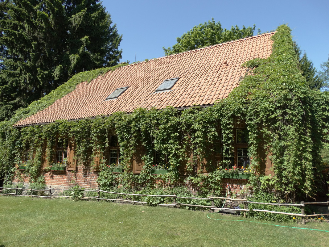 02 - DSC03863 (Czesio1)