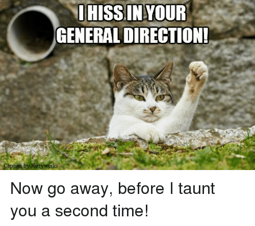 cat-hiss-in-your-general-direction.png