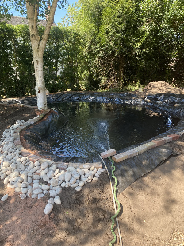 33B8789F-4D1D-4229-8809-BBB60CD8AA18