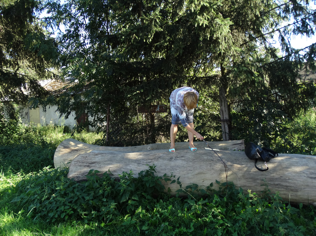 03.11 - DSC05604 (Czesio1)