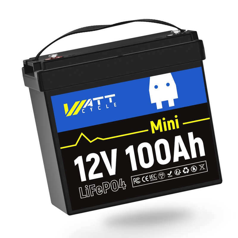 WT12V100AH100MINI