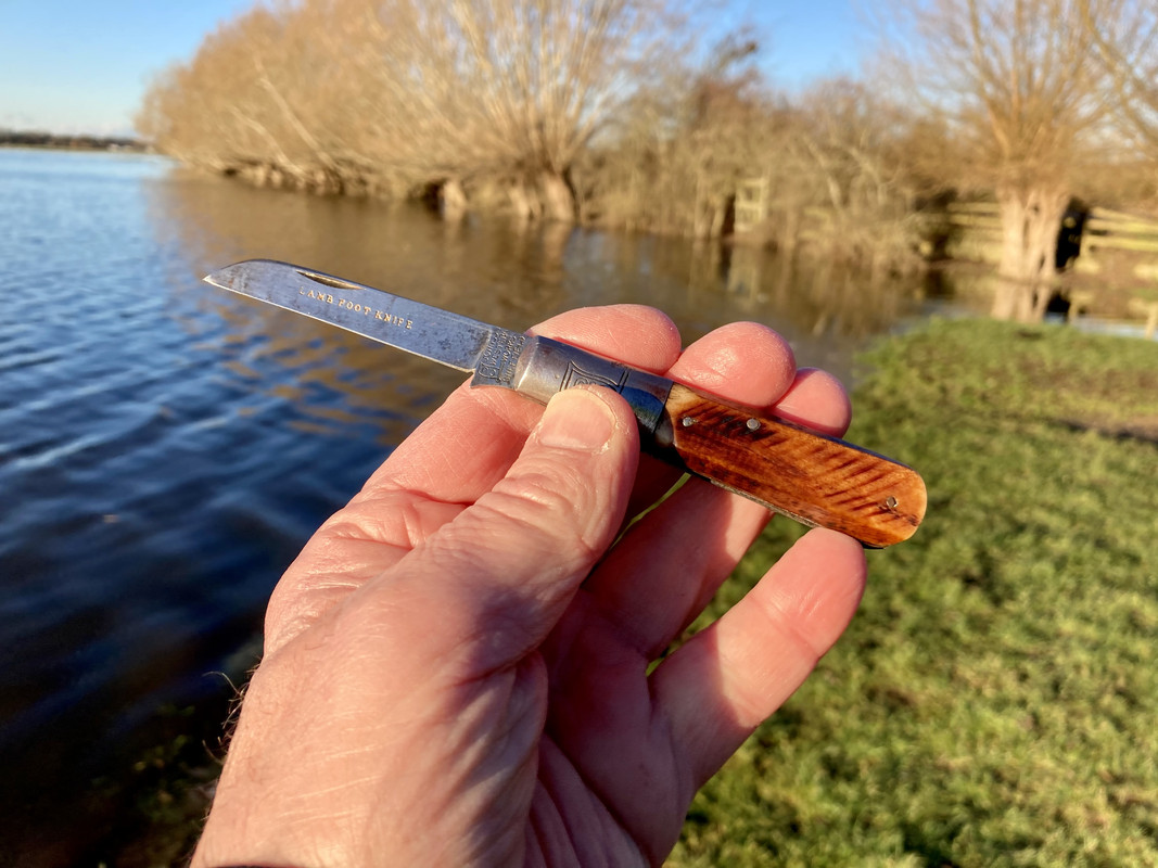 004D0978-3BAC-41BA-BE95-FC34497FC501