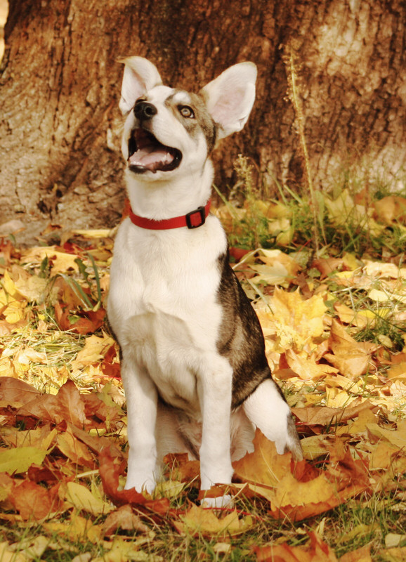 0DFC4B06-57E8-4E0A-B00E-232FF8245FB6 (1)