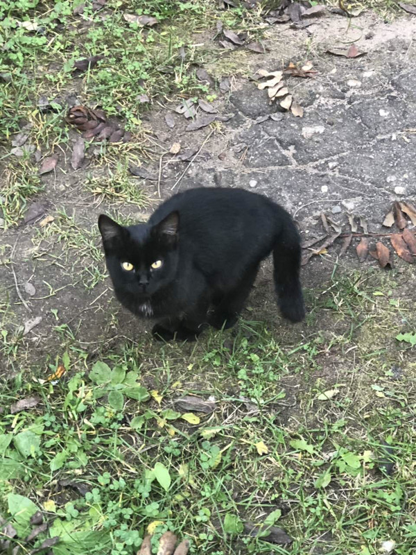 AEB0F171-0874-4677-B076-78FBC812D2A1