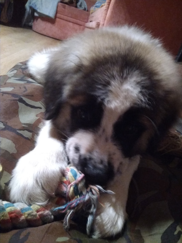 Первый вечер 1