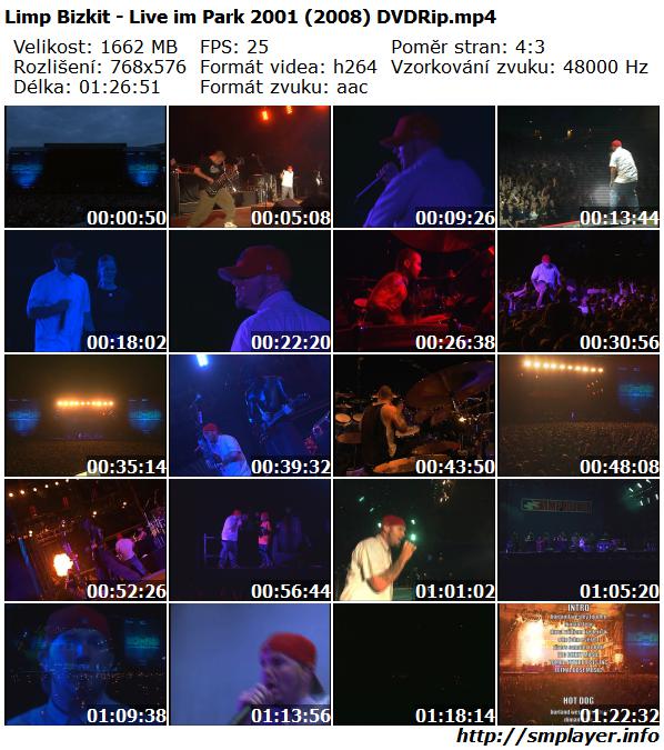 Limp Bizkit - Live im Park 2001 (2008)