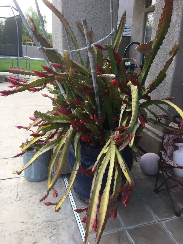 BDE57560-21A0-4199-9406-4370E7516ED3