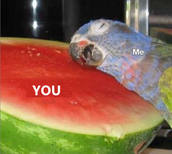 PAPUGA.png
