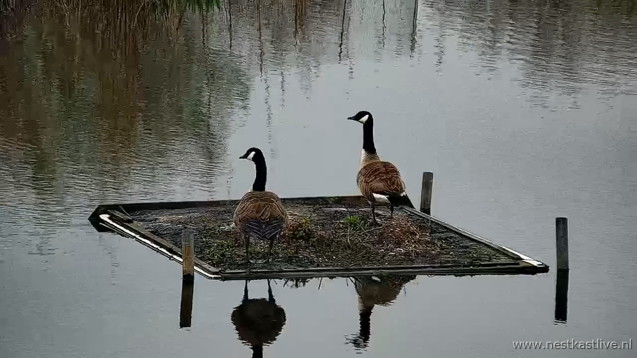 snapshot 2026 04 02T092624 363