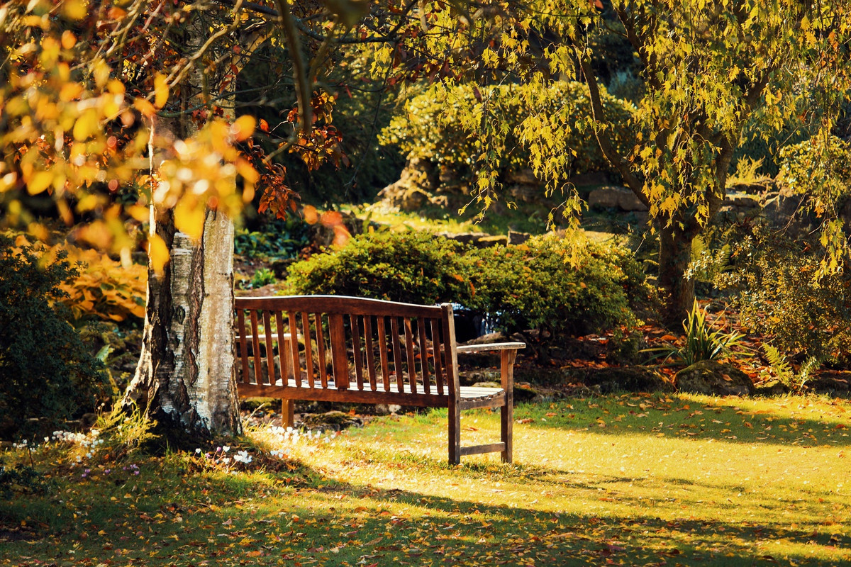 greenparkviewbench2.jpg
