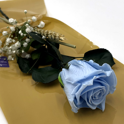 Rosa Azul Celeste Preservada
