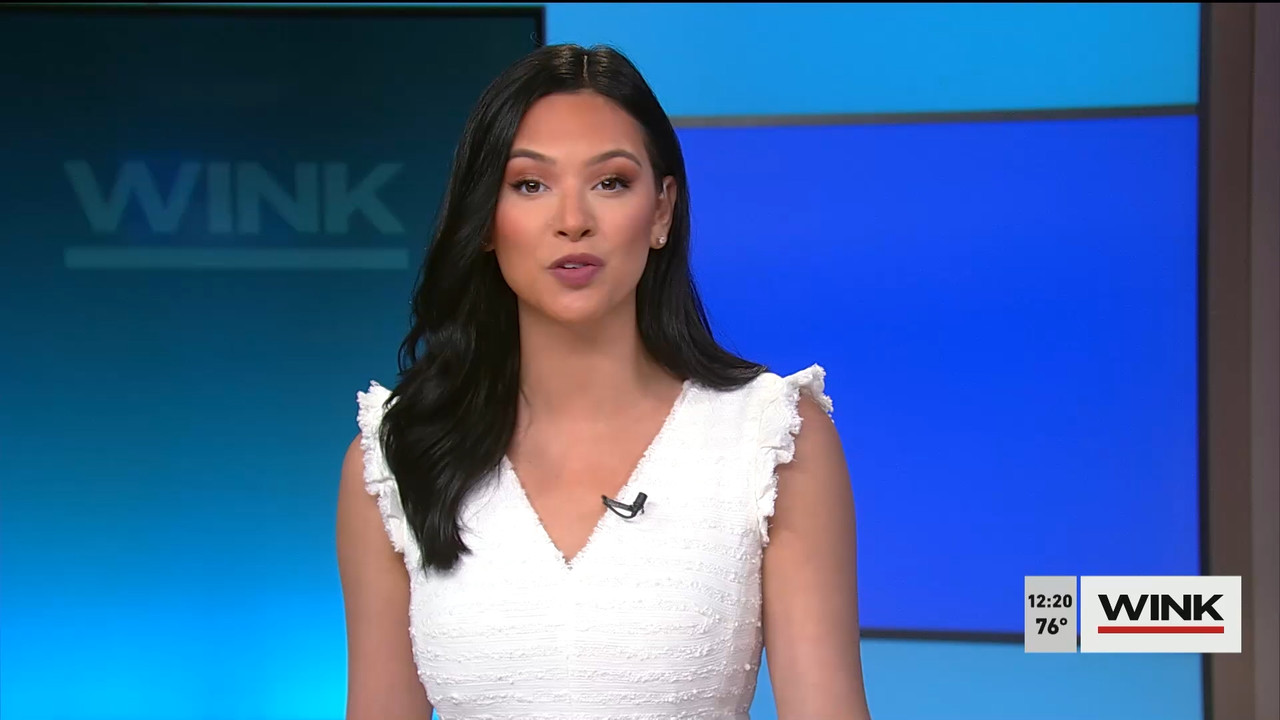 The WINK Noon News 2022_04_08_17_00_00.ts_snapshot_26.37.365