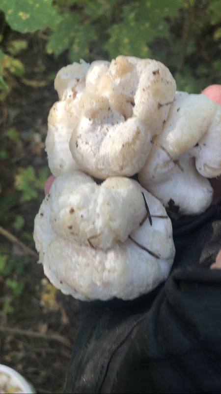 37A2CDE9-0B69-49E5-89C4-4766C098B655