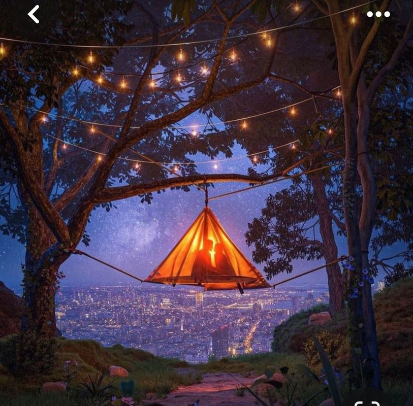 Screenshot_20231112_160749_Pinterest