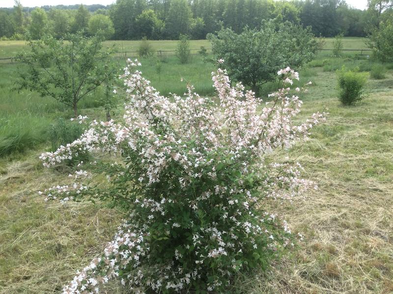 08AF0EBD-ADAF-405F-BF88-CD3D0B96EFDB