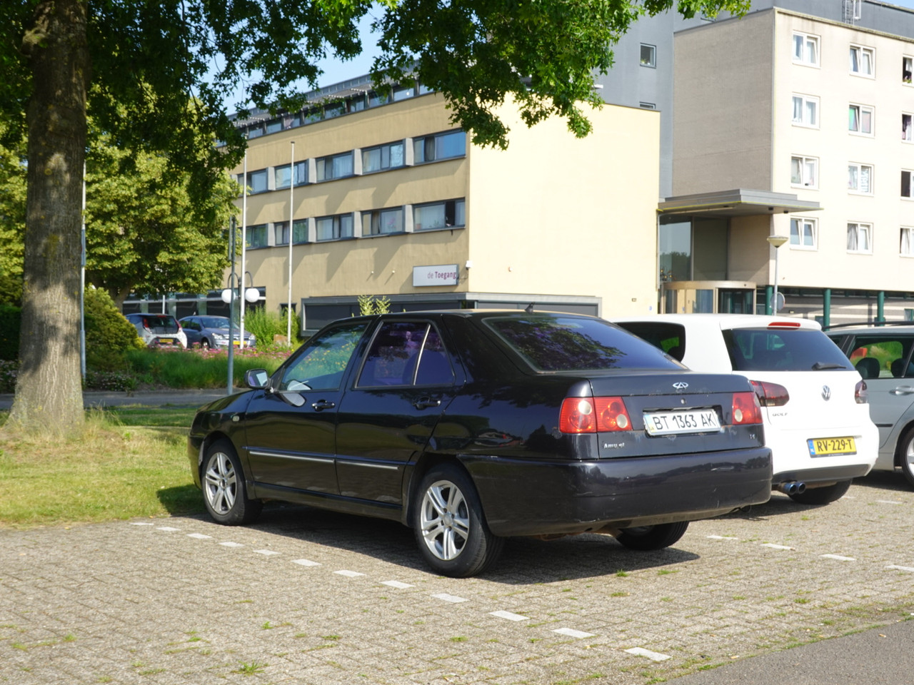 DSC08659.jpg