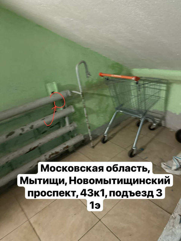 photo 5 2026 01 12 17 50 33