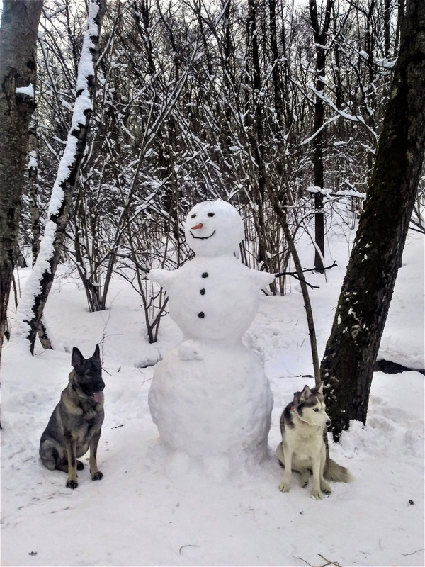7 апреля снеговик