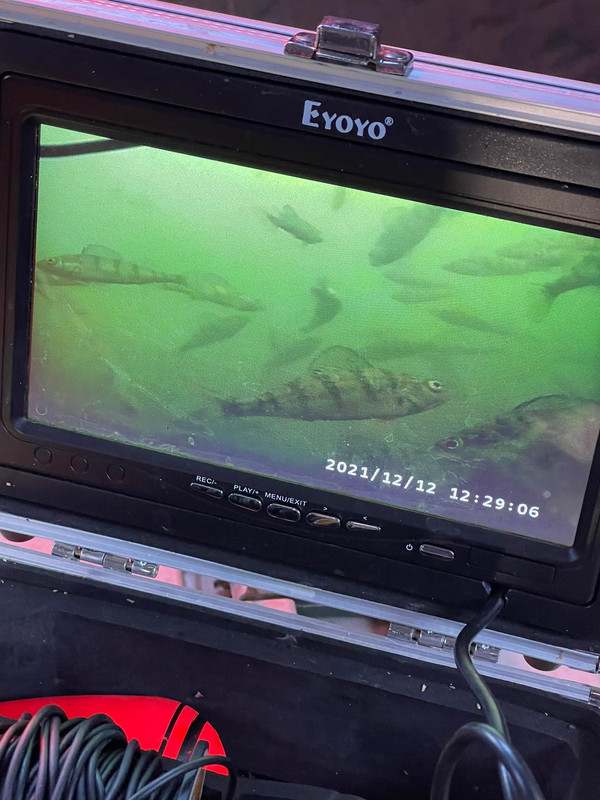eyoyo fishing camera