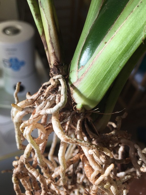 830EB2D5-F4C1-4F73-962E-3C3C3FFA13CF