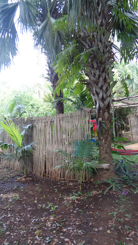 DSC01131