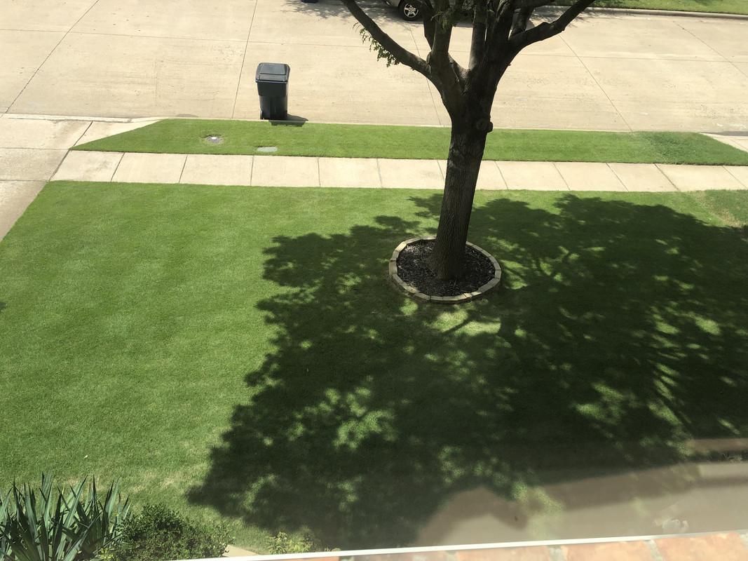 A06A76DA-847F-4917-8BF4-704952F98572