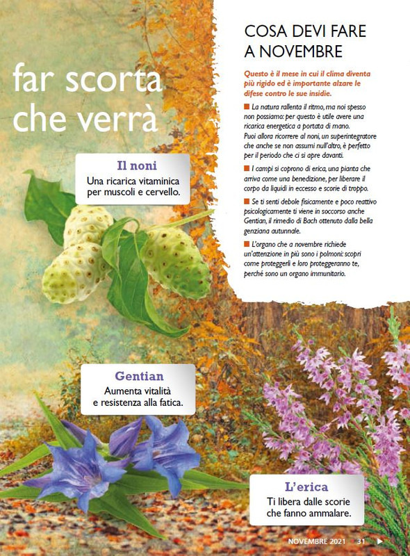 Sal Nat Nov 2021 (4)