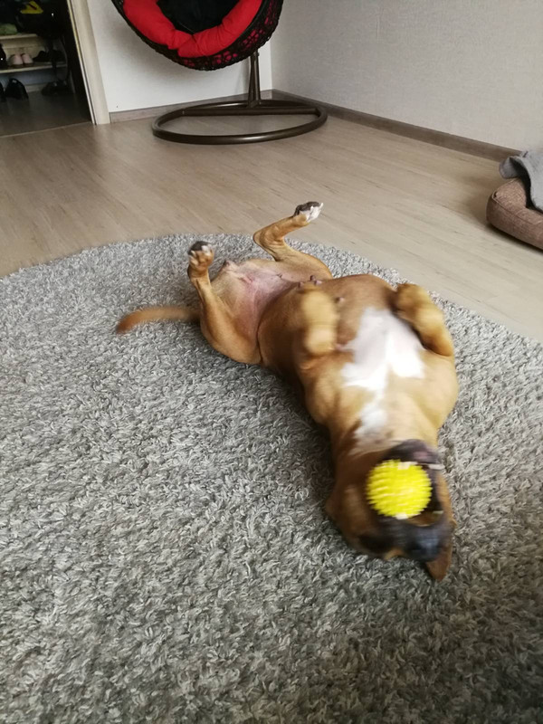 22C3CBCE-F502-4AC1-9749-BF4CFD465649