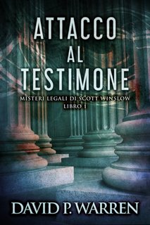 David P. Warren - Attacco al testimone (2023)