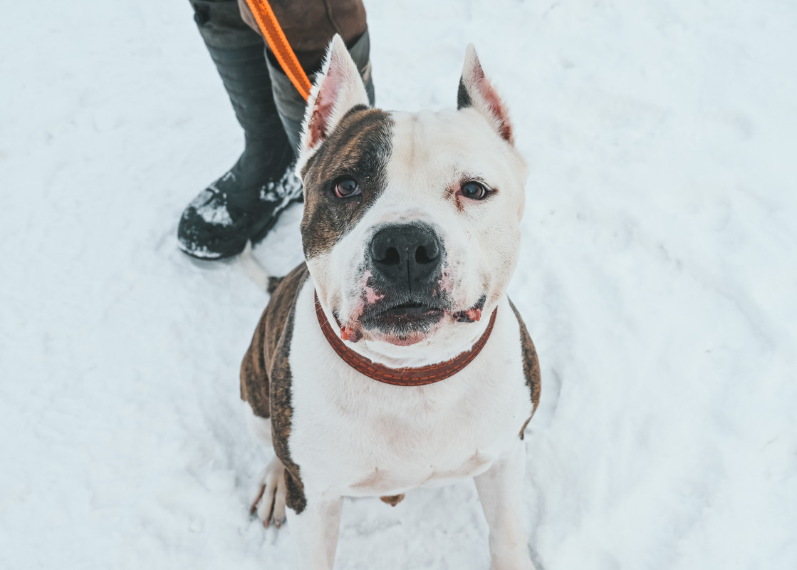 2065DF48-4EB4-4E9A-B197-B5779434E8D3