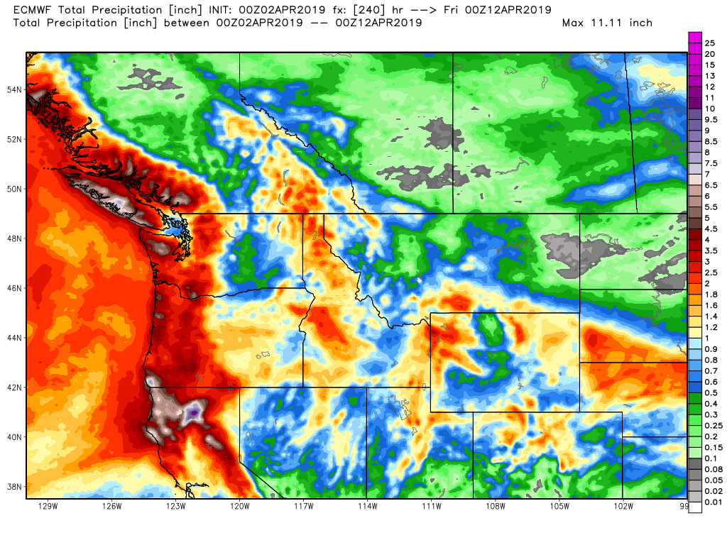 ecmwf-tprecip-nw-41-1.png