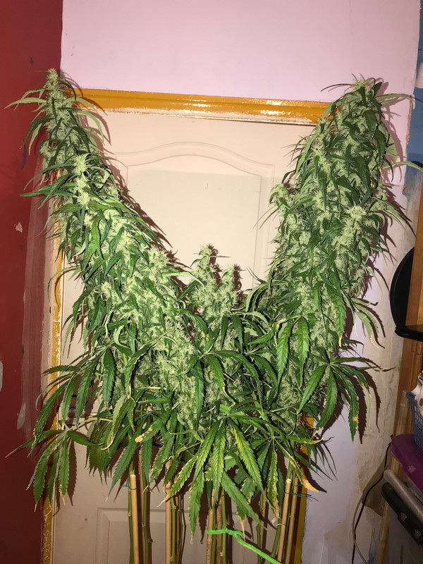 B08DD6D3-AF95-4B02-9A16-23514194D081