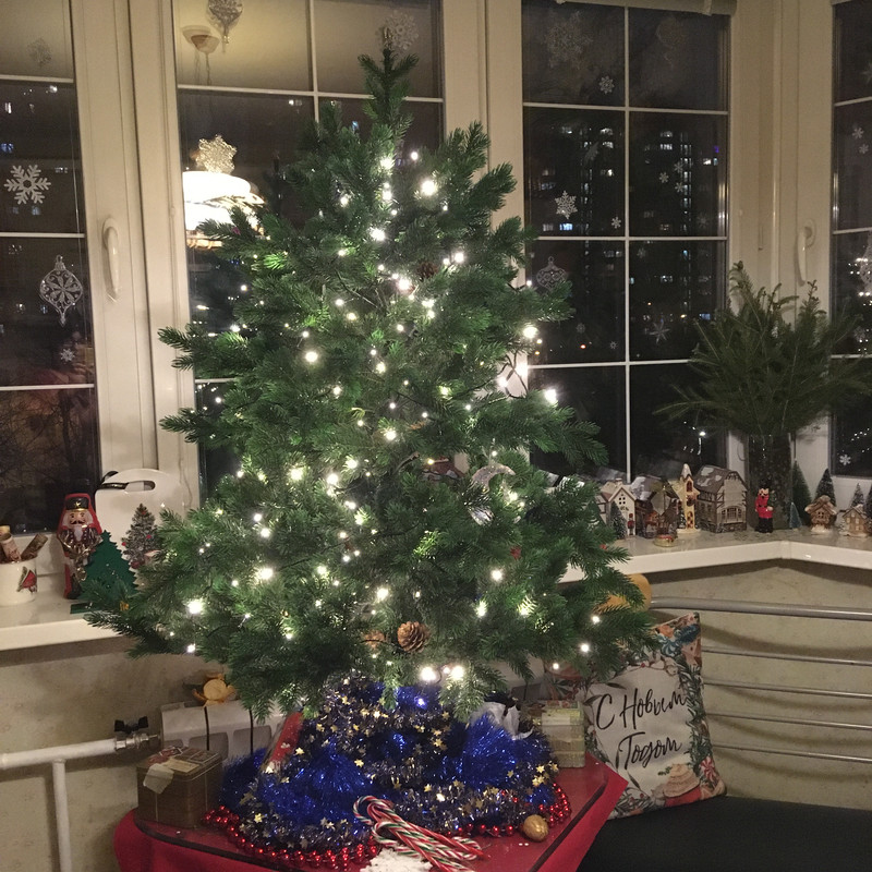 Русанов ипостновогоднее 011