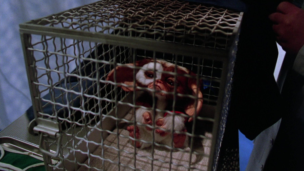 vlcsnap-2019-10-28-23h02m18s329