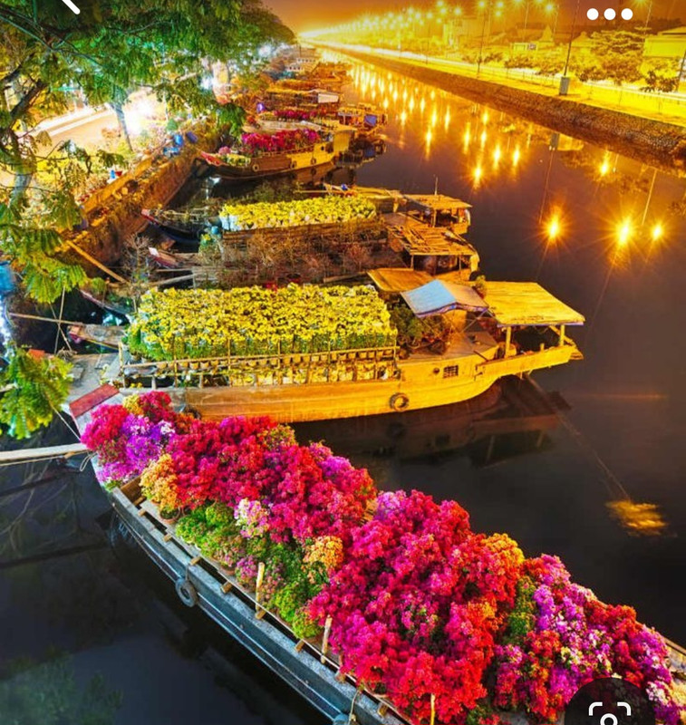 Screenshot_20231017_220550_Pinterest