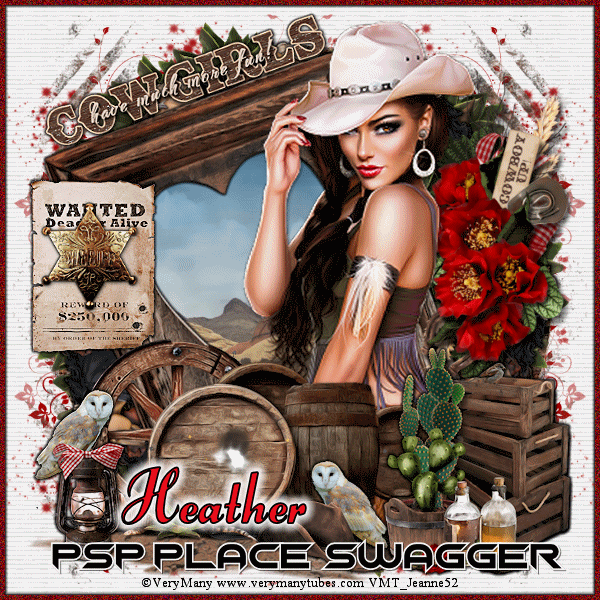 PSP Place swagger pickups Cowgirls-have-more-funpspsw-agheather