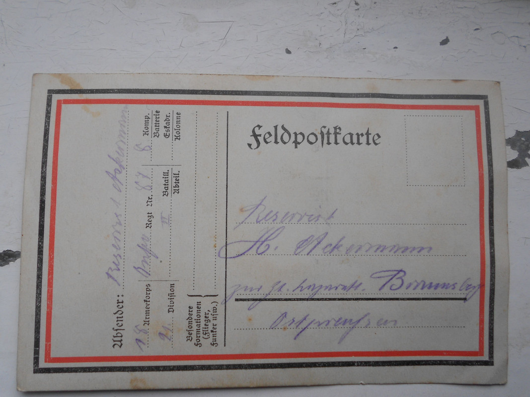 Изображение 1040