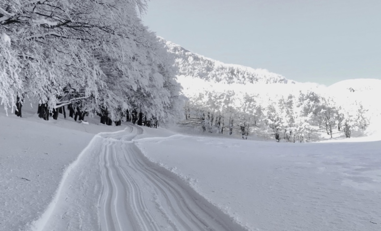 15F27FA0-8E22-4EAD-A4FD-1EEC04A20A85