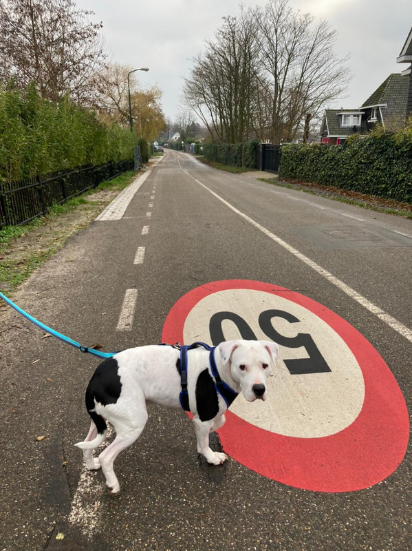 F4A264EC-13B9-4DD5-93C4-AA45C9A80246