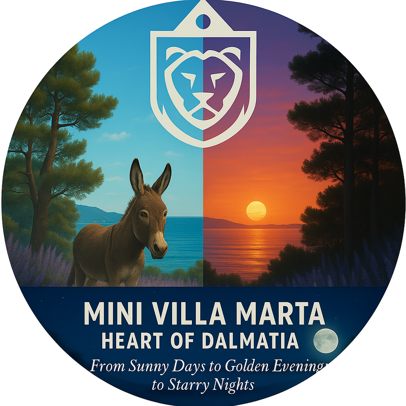 E579FFDB-1B1F-4DAA-9D8D-95415F3C6BCF