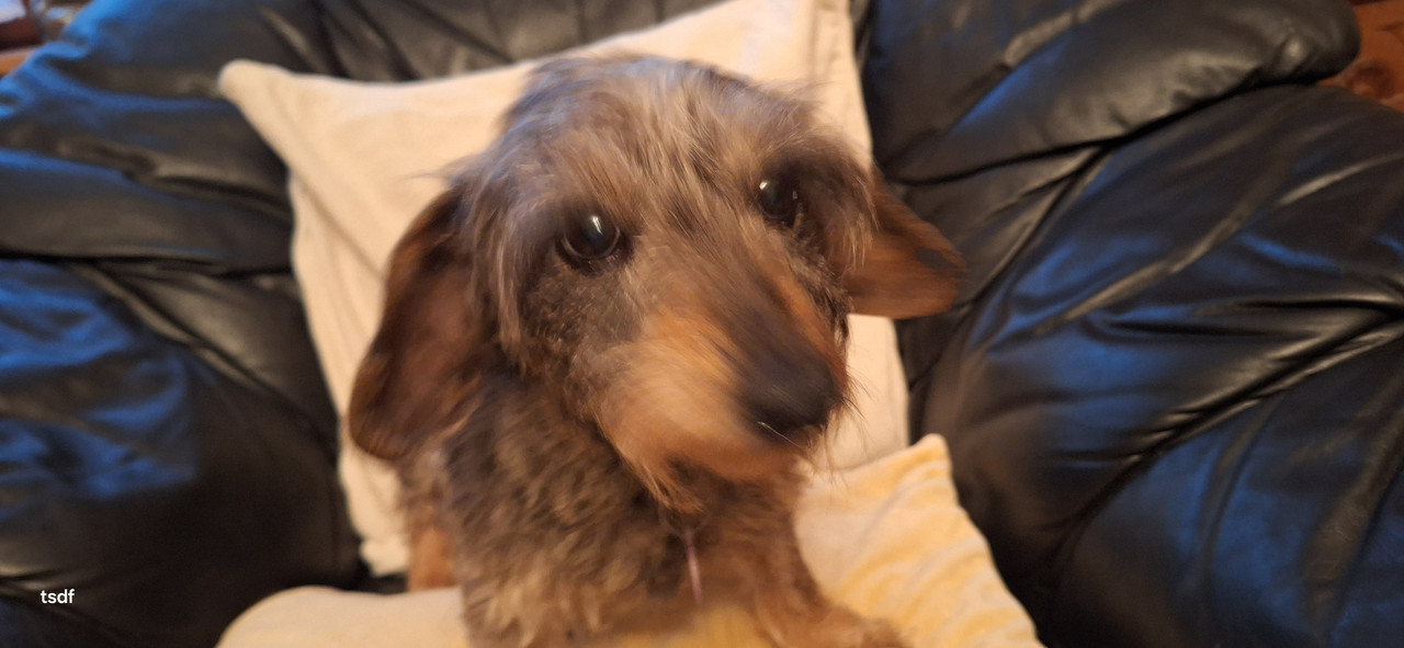 [Image: 20250423-074245.jpg]