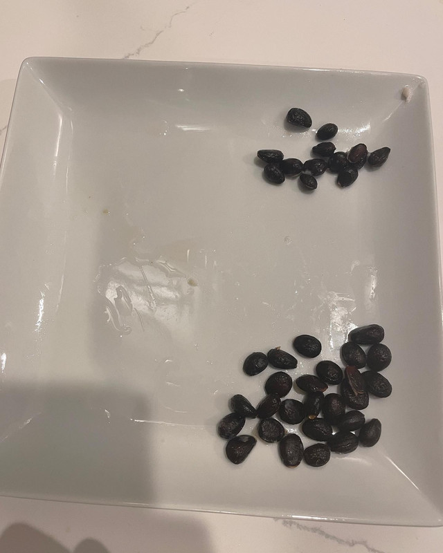 543C6743-B4C0-4CCC-87F6-282D83E8A989