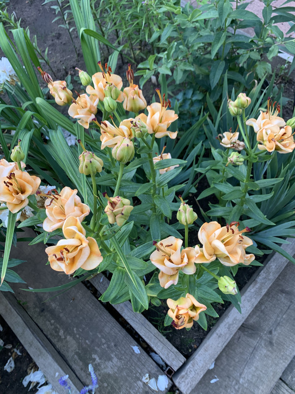 A8F8D1BA-D1D0-44E9-9157-496F875CF827