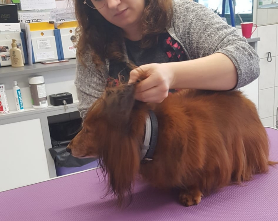 [Image: 20201216-073120.jpg]