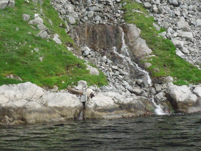 FIORDO d LYSEFJORD/ PULPITO / STAVANGER 5-8-16 - LA BELLEZA DE NORUEGA (4)