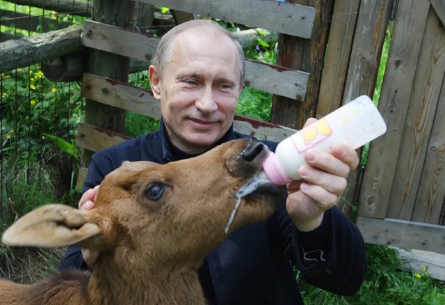putin-feed-lk.jpg